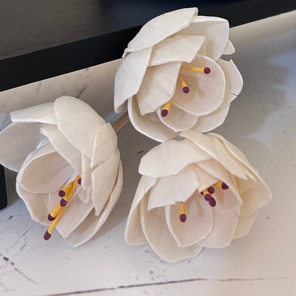 Flower Reed Trio
