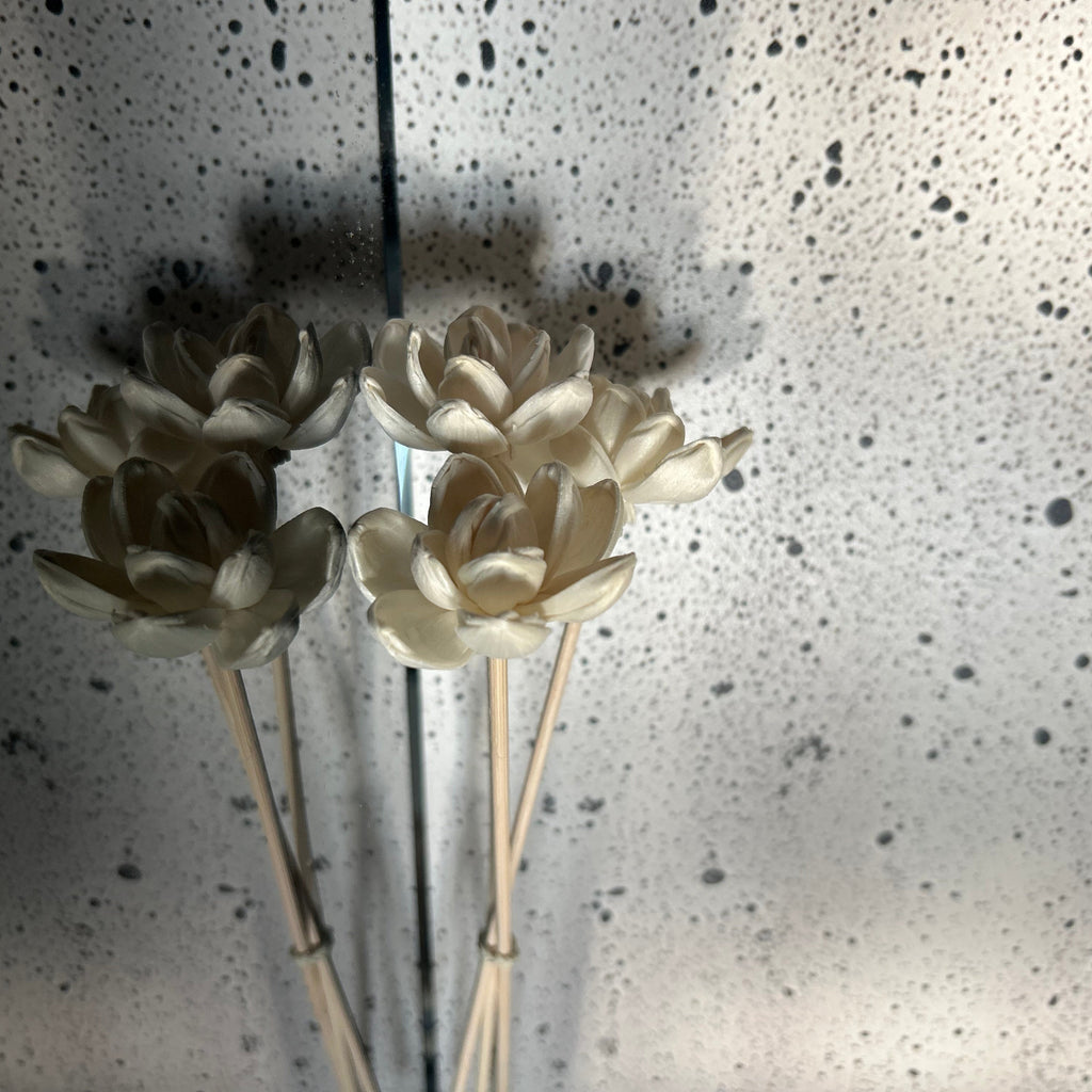 Lotus Reed Trio