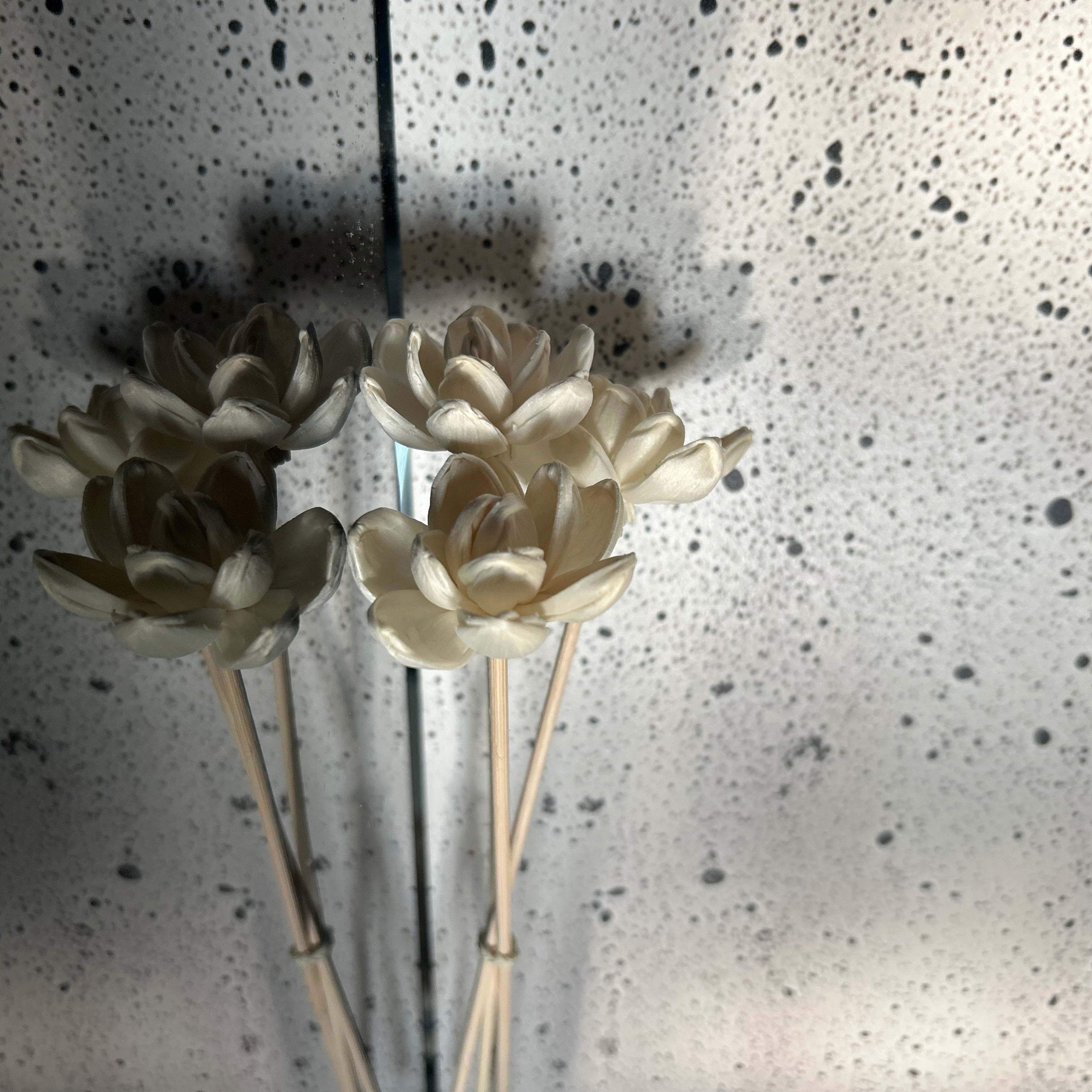 Lotus Reed Trio